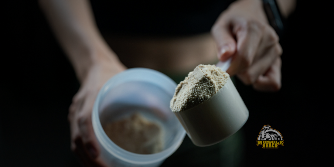 What’s the Best Protein Powder for Beginners?