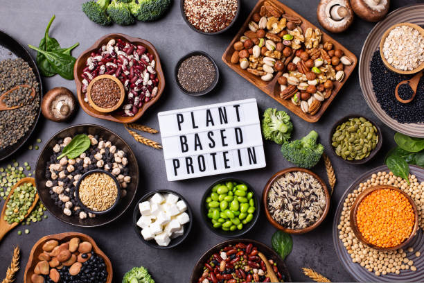 PLANT-PROTEIN